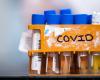 A new scientific breakthrough in the fight against COVID-19 | ...