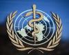 The World Health Organization announces the absence of a second wave...