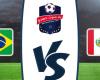 Watch the Brazil-Peru match broadcast live today 10/14/2020 World Cup Qualifiers
