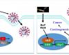 Studying the effects of tobacco smoking on the risk of COVID-19