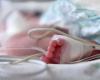 “I panicked”. Young woman gives birth, throws baby out of...
