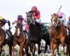 Caulfield Cup 2020 form guide: field, bets, odds, tips, start time