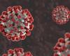 Scientists are developing a new way to block coronavirus replication –...