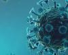 Coronavirus survives 9 hours on skin, 5 times longer than flu