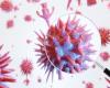 Le Matin – The coronavirus survives 9 hours on the skin,...