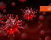 LIVE: Number of coronavirus infections lower than Sunday | 1Limburg