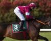 “I’m happy with it”: Gordon Elliott unmoved by the loss of...