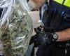 Eavesdropping leads to arrests in large investigation into cannabis cultivation |...
