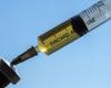 Will there be a coronavirus vaccine before the New Year? ...
