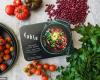 Fable: Plant-based ready meals are being introduced at Woolworths – and...