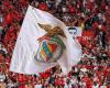THE BALL – Follow the elections LIVE (Benfica)