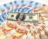 Turkish lira records a new bottom and no light on the...