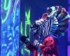The Masked Singer: Is This Comedian The Zebra?