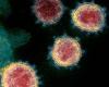 Why has Corona infection become faster transmission? Scientists suggest the...