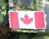 Canadian soldier killed during training in Alberta