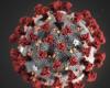 Researchers are developing an artificial intelligence that can detect infection with...