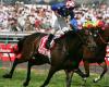 Glen Boss will ride Sir Dragonet to win the Melbourne Cup...