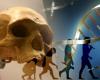 Archaeological News: The 260,000 Year Old Florisbad Skull Could Be Key...
