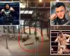 Held Turkish MMA fighters wounded by ISIS shooters after bringing an...