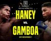 Devin Haney vs Yuriorkis Gamboa: fight date, start time, how to...