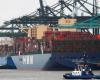 11.5 tons of cocaine found in the port of Antwerp: ‘Largest...