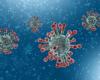 Tracking the development of SARS-CoV-2 virus mutations