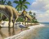 The discovery of a 66 million-year-old duck-billed dinosaur in Morocco that...