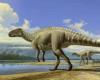 The discovery of a dinosaur that lived 66 million years ago...