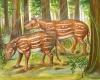 Indian fossils support new hypotheses about the origin of horses, rhinos...