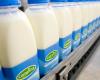 Dairy producer FrieslandCampina is cutting about a thousand jobs | ...