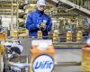 Dairy giant FrieslandCampina cuts 1000 jobs | Financial