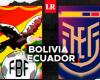 Soccer Channel LIVE Ecuador vs Bolivia Qualifying Qatar 2022: transmission channel...