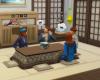 Die Sims 4: Snowy Escape Review