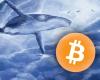 This Bitcoin whale is short of $ 100 million, what does...