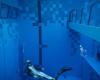the deepest swimming pool in the world has opened its doors