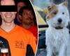 Jogger stabbing dog Dribble to death, files complaint after death …