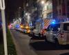 Antwerp police discover Jewish party with probably more than dogs …...