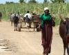 Boko Haram terror in Nigeria: Islamists execute 43 farmers