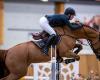 Show jumping: Annelies Vorsselmans horse dies at German championships