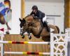 Horse dies in German riding championship