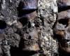 New stretch of tzompantli, Aztec tower of human skulls found in...