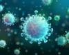 Believe it or not, a new virus may protect humans from...