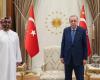 Erdogan discusses with an Emirati delegation bilateral relations and regional issues