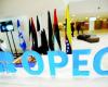 Expectations to keep OPEC Plus production policy unchanged
