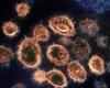 The dangerous “AY.4.2” strain of the Corona virus infiltrates Israel