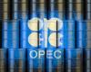 'Nothing to worry about' as OPEC+ trims 2021 oil demand view, keeps 2022 steady: Sources