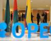 “OPEC +” meets on the impact of falling oil and the...