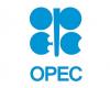“OPEC +” increases February production by 400,000 barrels