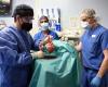 Patient who received pig heart in groundbreaking transplant surgery dies