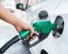Oil demand rises as gas prices surge: IEA
